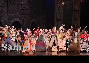 礼　他 舞台写真／星組東京公演『ディミトリ～曙光に散る、紫の花～』『JAGUAR BEAT―ジャガービート―』