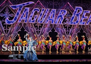 礼　他 舞台写真／星組東京公演『ディミトリ～曙光に散る、紫の花～』『JAGUAR BEAT―ジャガービート―』