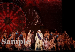 月城　他 舞台写真／月組大劇場公演『応天の門』『Deep Sea―海神たちのカルナバル―』