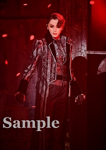 暁千星 舞台写真／星組梅田芸術劇場シアター・ドラマシティ公演『Le Rouge et le Noir～赤と黒～』