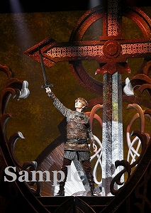 芹香斗亜 舞台写真／宙組東京建物 Brillia HALL公演『Xcalibur エクスカリバー』