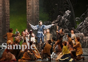 桜木　他 舞台写真／宙組東京建物 Brillia HALL公演『Xcalibur エクスカリバー』