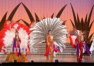フィナーレ 舞台写真/雪組全国ツアー公演『仮面のロマネスク』『Gato Bonito!!』