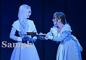 夢白・野々花 舞台写真/雪組大劇場公演『ベルサイユのばら』―フェルゼン編―