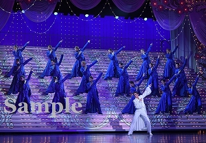 彩風 他 舞台写真/雪組大劇場公演『ベルサイユのばら』―フェルゼン編―