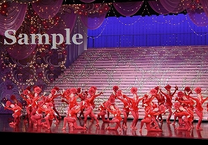 ロケット 舞台写真/雪組大劇場公演『ベルサイユのばら』―フェルゼン編―