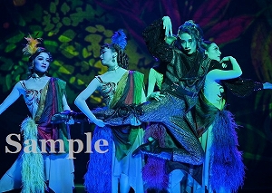 鷹翔　他 舞台写真／宙組東京宝塚劇場特別公演『Le Grand Escalier ―ル・グラン・エスカリエ―』