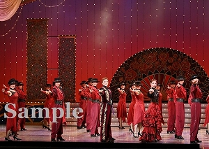 鳳月　他 舞台写真／月組全国ツアー公演『琥珀色の雨にぬれて』『Grande TAKARAZUKA 110!』