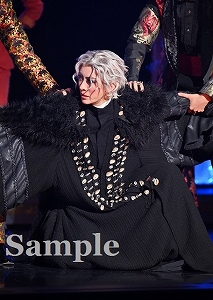宝塚　写真集　舞台写真　歌劇 2025.06.29 花組宝塚大劇場公演 『悪魔城ドラキュラ』 舞台写真