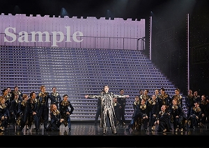 芹香　他 舞台写真／「芹香斗亜サヨナラショー」