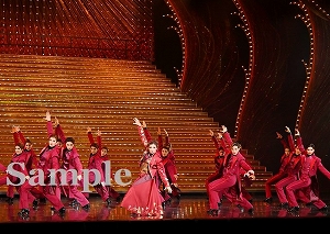 鳳月　他 舞台写真／月組東京公演『ゴールデン・リバティ』『PHOENIX RISING』