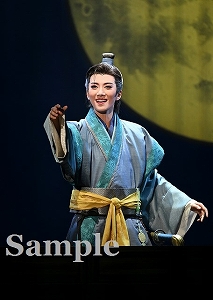 宝塚　星組　旅美写美　※注あり honyaclub_4939804146545