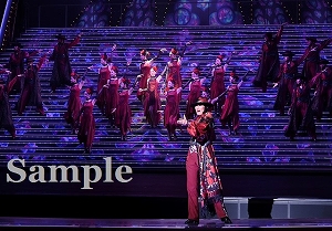 瀬央　他 舞台写真／雪組大劇場公演『ROBIN THE HERO』『オーヴァチュア！』