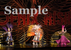 鳳月・風間・天紫 舞台写真／月組全国ツアー公演『花の業平』『PHOENIX RISING』