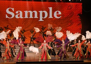 鳳月　他 舞台写真／月組全国ツアー公演『花の業平』『PHOENIX RISING』