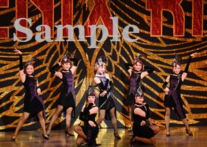 天紫　他 舞台写真／月組全国ツアー公演『花の業平』『PHOENIX RISING』