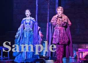 朝美・夢白 舞台写真／雪組東京公演『ROBIN THE HERO』『オーヴァチュア！』