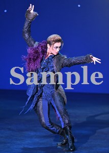 ブロマイドオーダーサービス/2025年公演/『Twinkle Moon』/舞台