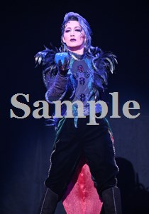 聖乃あすか 舞台写真／花組大劇場公演『悪魔城ドラキュラ』『愛，Love Revue！』