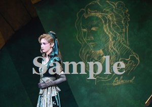 星空美咲 舞台写真／花組大劇場公演『悪魔城ドラキュラ』『愛，Love Revue！』