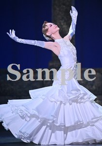 星空美咲 舞台写真／花組大劇場公演『悪魔城ドラキュラ』『愛，Love Revue！』