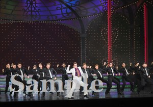 永久輝　他 舞台写真／花組大劇場公演『悪魔城ドラキュラ』『愛，Love Revue！』