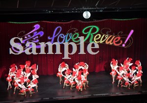 MASTERPIECE COLLECTION 花組 シアター・ドラマシティ公演… c864bc5c210c1619b3873e8ae84570