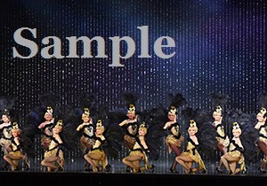 ロケット 舞台写真／月組大劇場公演『GUYS AND DOLLS』