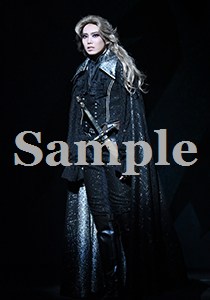 大衆演劇 DVD 劇団輝　特選舞踊集　誕生日公演　4枚セット Amazon.co.jp: 坂東玉三郎舞踊集4 鏡獅子 [DVD] : 坂東玉三郎