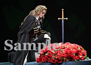 永久輝せあ 舞台写真／花組東京公演『悪魔城ドラキュラ』『愛，Love Revue！』