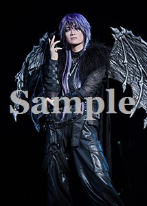 希波らいと 舞台写真／花組東京公演『悪魔城ドラキュラ』『愛，Love Revue！』