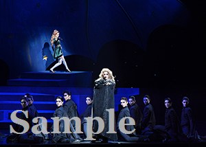 永久輝 他 舞台写真／花組東京公演『悪魔城ドラキュラ』『愛，Love Revue！』