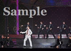 永久輝 他 舞台写真／花組東京公演『悪魔城ドラキュラ』『愛，Love Revue！』
