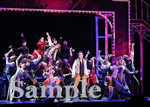 永久輝　他 舞台写真／花組東京国際フォーラム公演『Goethe!』