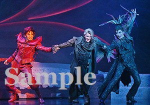 永久輝・聖乃・極美 舞台写真／花組大劇場公演『蒼月抄』『EL DESEO』