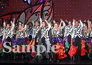 永久輝　他 舞台写真／花組大劇場公演『蒼月抄』『EL DESEO』