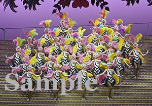 ロケット 舞台写真／花組大劇場公演『蒼月抄』『EL DESEO』