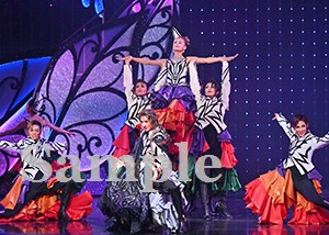 永久輝　他 舞台写真／花組東京公演『蒼月抄』『EL DESEO』