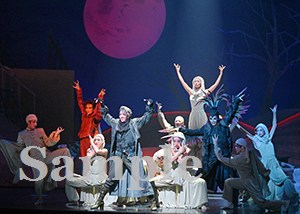 永久輝　他 舞台写真／花組東京公演『蒼月抄』『EL DESEO』