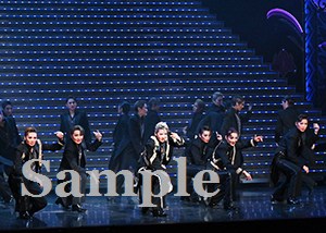 永久輝　他 舞台写真／花組東京公演『蒼月抄』『EL DESEO』
