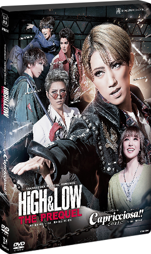 宝塚 宙組 ハイロー カプリチョーザ HiGH&LOW DVD D - DVD/ブルーレイ