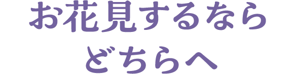 お花見をするならどちらへ