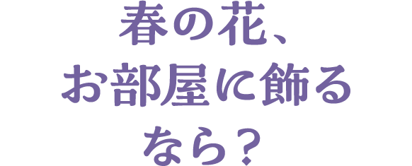 春の花、お部屋に飾るなら？