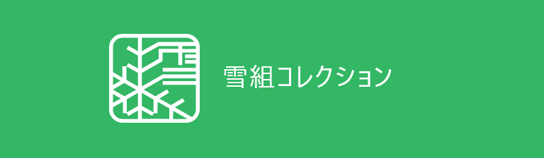 雪組コレクション